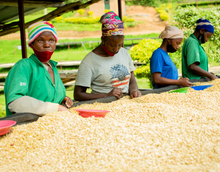 Charger l'image dans la galerie, Café Titus - RWANDA