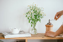 Charger l'image dans la galerie, Moulin en Bois Naturel - HARIO