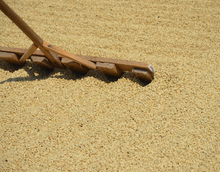 Charger l'image dans la galerie, Café Pampojila - GUATEMALA