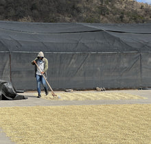 Charger l'image dans la galerie, Café Mombacho - NICARAGUA