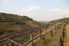 Charger l'image dans la galerie, Café Titus - RWANDA