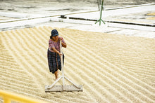 Charger l&#39;image dans la galerie, Café Pampojila - GUATEMALA
