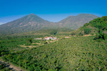 Charger l&#39;image dans la galerie, Café Pampojila - GUATEMALA
