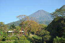 Charger l&#39;image dans la galerie, Café Pampojila - GUATEMALA
