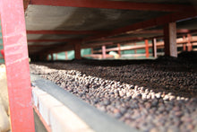 Charger l&#39;image dans la galerie, Café Titus - RWANDA
