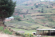 Charger l&#39;image dans la galerie, Café Titus - RWANDA
