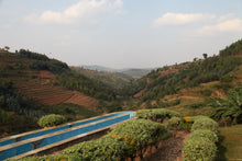 Charger l&#39;image dans la galerie, Café Titus - RWANDA
