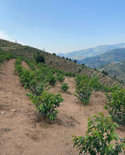 Charger l&#39;image dans la galerie, Café Titus - RWANDA
